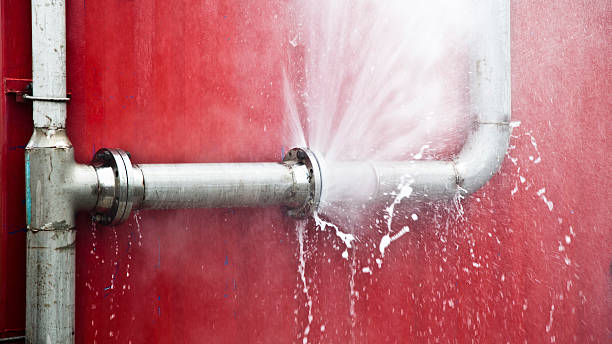 Best Carpet water damage restoration  in East Petersburg, PA